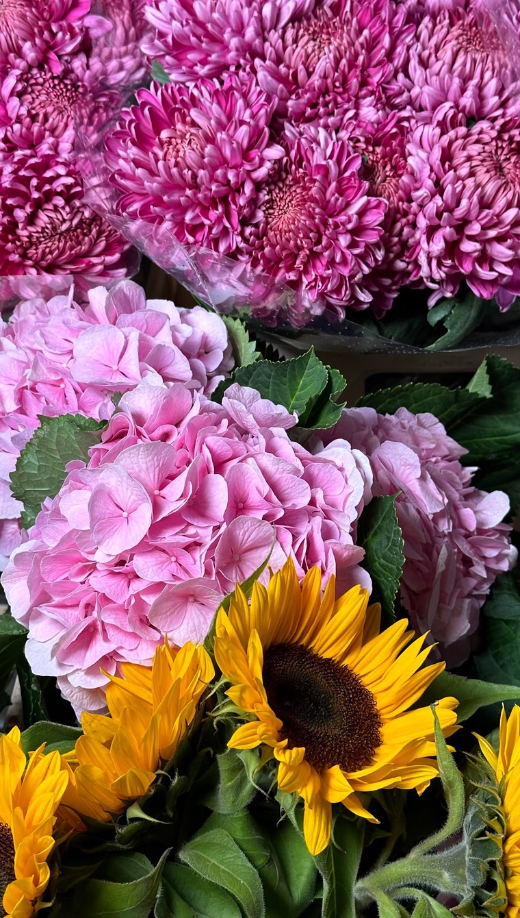 Hydrangeas + helianthus